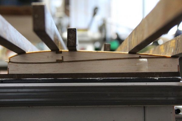 画像11: Lance F (ランス F)  (11)