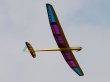 画像8: Lance F (ランス F)  (8)