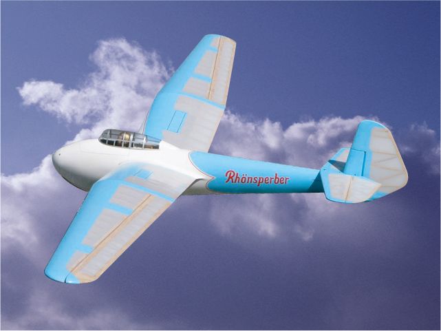 Rhonsperber(レーンシュペルベル) 組立キット - sky-modeling